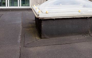 disadvantages of Frogland Cross flat roofs