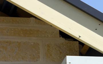 soffit repair Frogland Cross